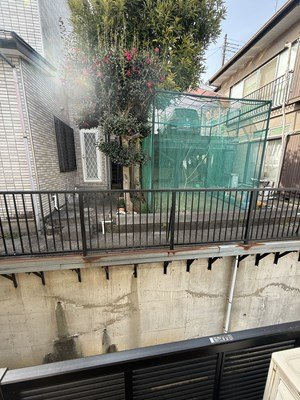 【その他】 | レオパレス猫座