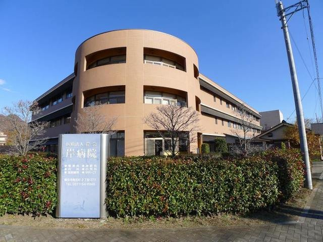 プラティーヌ　Ⅰの周辺|岸病院まで500m