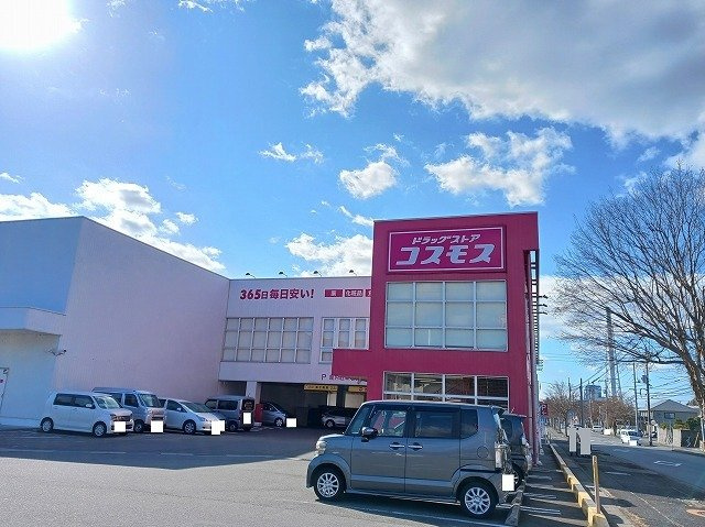 プラシードＫ　Ａの周辺|コスモス遠石店まで1300m