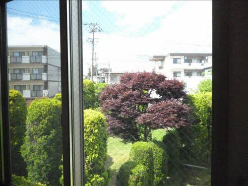 ネッカーの展望