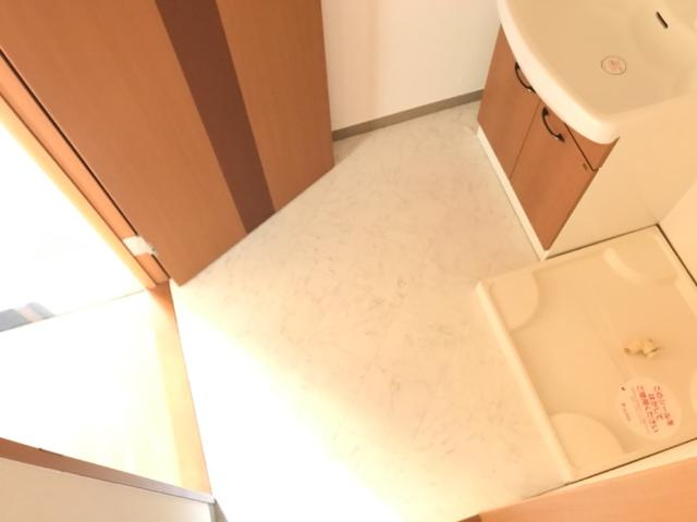 ヒーリングパレスの洗面所|脱衣場