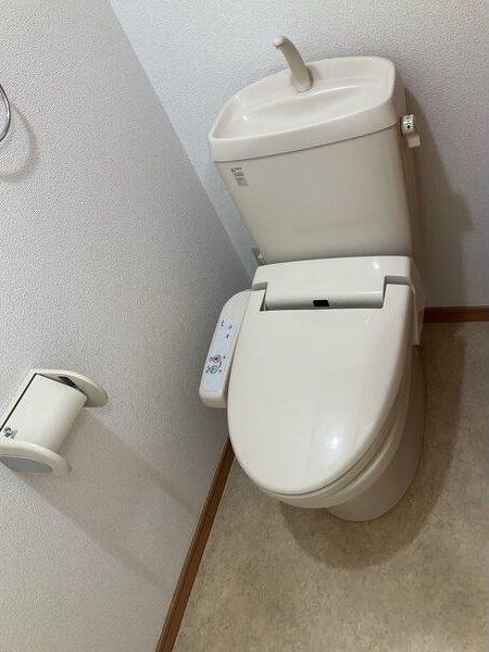 水沢ステーションアベニューE棟のトイレ