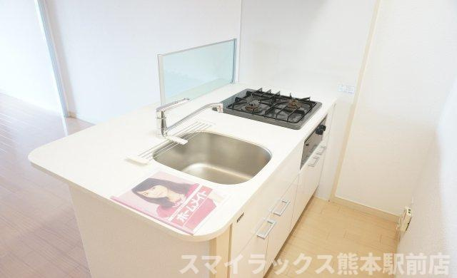 熊本市中央区水前寺公園の賃貸マンションのキッチン