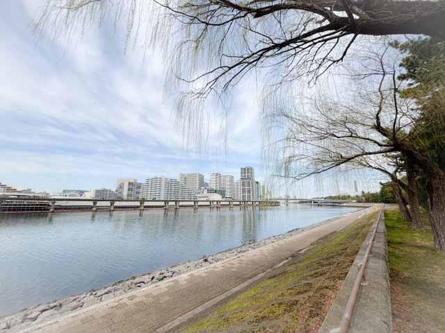 の-の画像
