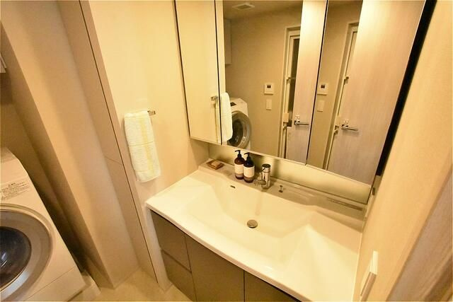 ブリリア三河島ステーションフロントの洗面所