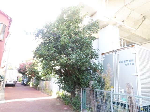 グランクオール北赤羽のその他|緑の綺麗な緑道沿いです♪