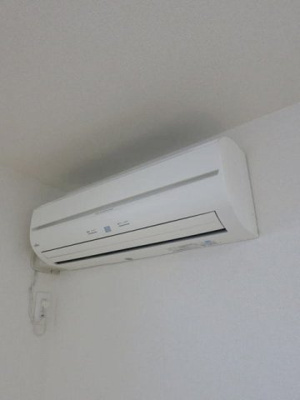 【その他】 | プラシード