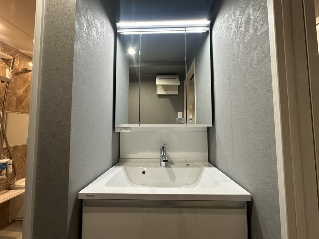 ライオンズマンション西明石第二の独立洗面台