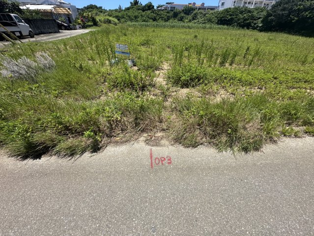 憧れの宮古島。なぜか理想と思える宮古島。現況は畑ですが建築する事が出来る売地となります。２筆での販売ですが、分割でもお譲り致します、な、『宮古島市下地上地』の土地。の外観|物件の外観です