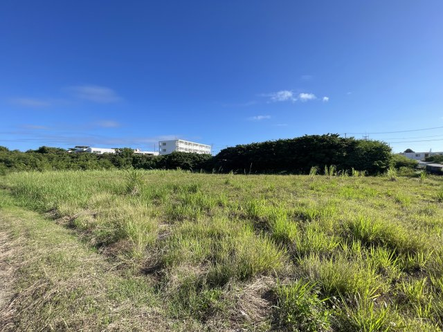 憧れの宮古島。なぜか理想と思える宮古島。現況は畑ですが建築する事が出来る売地となります。２筆での販売ですが、分割でもお譲り致します、な、『宮古島市下地上地』の土地。の外観|物件の外観です