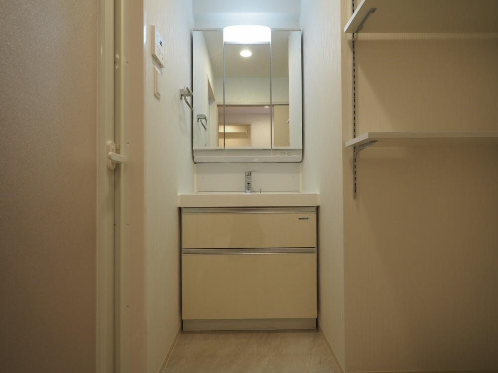 プレジオ西中島ASIANの洗面所