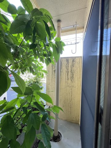 Ｍ’ｓパレス道笑町のバルコニー