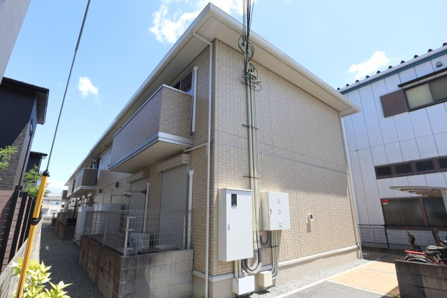 シャロー　パディ