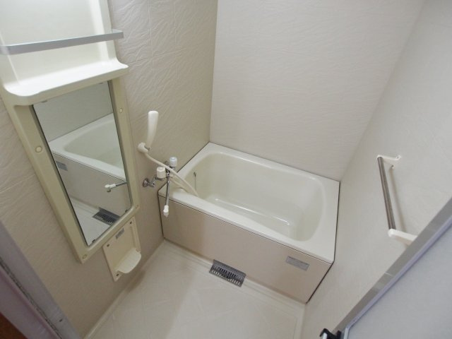 カサ　フェリスBの浴室