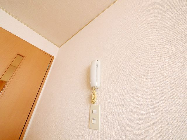 サニードゥウェリング　Ⅱのセキュリティ