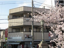 バイムフルス白金Ⅱの画像