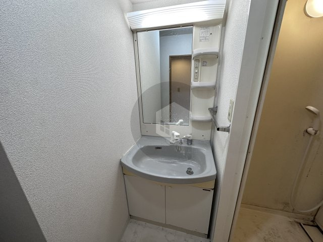 ルディシアコートの独立洗面台