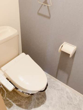 アゼリア宮上Cのトイレ