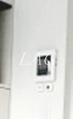 【セキュリティ】 | リベラルバード | モニター付インターフォンです。