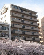 バイムフルス白金Ⅰの画像