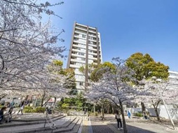 We Will 八丁堀の画像