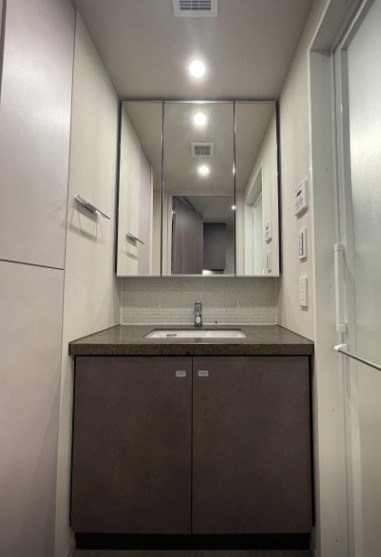 ザ・パークハビオ入谷の洗面所