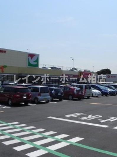 仲介手数料（賃料の1.10ヵ月）の50％OFF対象物件！の周辺