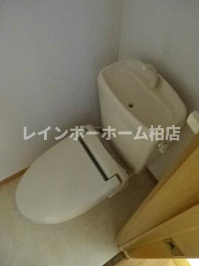 仲介手数料（賃料の1.10ヵ月）の50％OFF対象物件！のトイレ|清潔感のあるトイレです