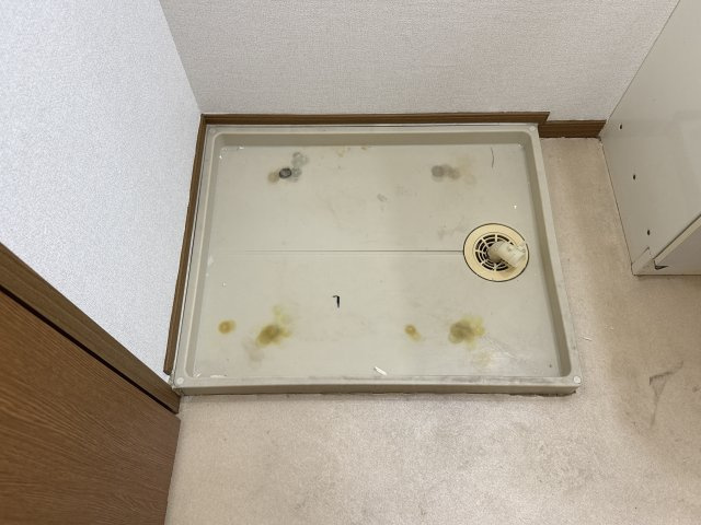 レフィナード阿成のその他