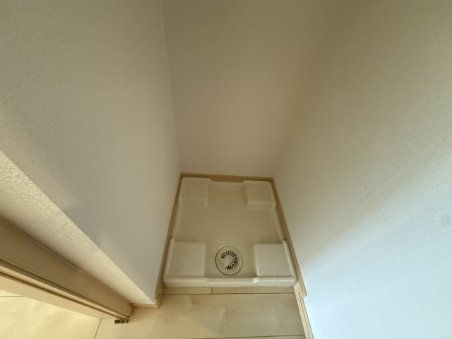 アクロポリスⅤのその他