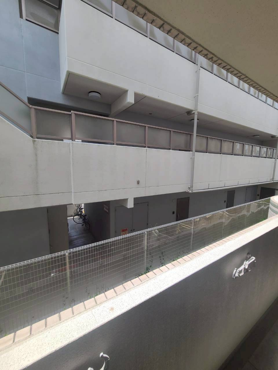LAPISの展望