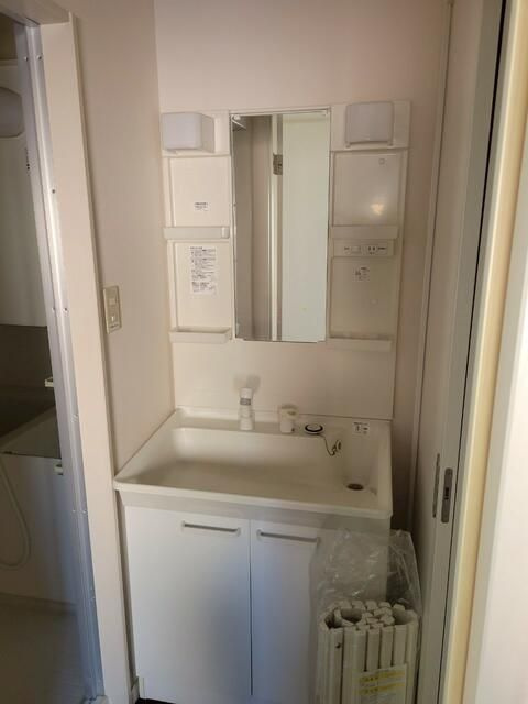 コーポアイリスの洗面所