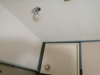 同建物参考写真