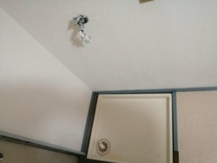 同建物参考写真