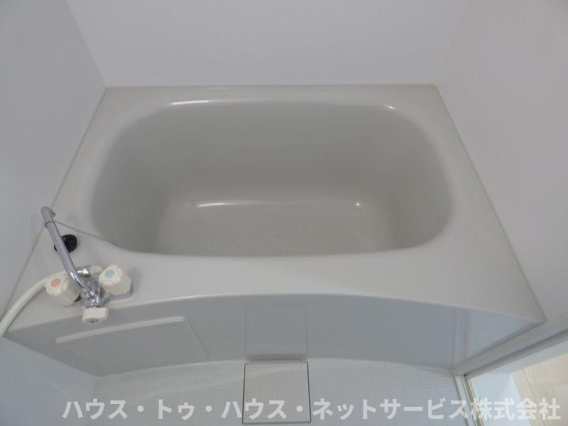 ウィステリアのその他