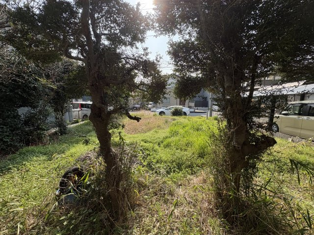 東松山市美原町3丁目6-25 土地48坪の外観