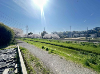 【展望】 | 千葉市中央区生実町　売地　 | 【生実町　売地】１８３．２５㎡　建築条件なし　自然豊かで桜も楽しめます。