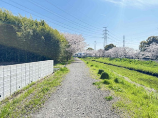 【展望】 | 千葉市中央区生実町　売地　 | 【生実町　売地】１８３．２５㎡　建築条件なし　自然豊かで桜も楽しめます。