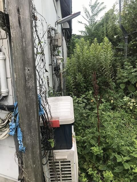 マルマサ店舗の外観