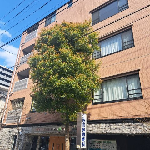 モリスステーションプラザ志木