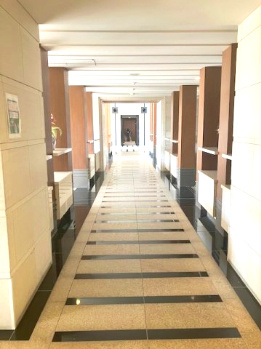 【その他共用部分】 | イトーピア豊中緑丘ロジュマン | 共用部分のお手入れも行き届いています。