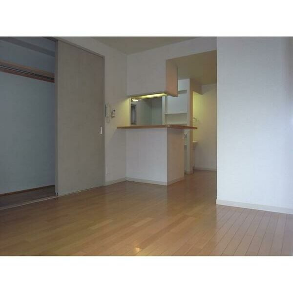 ドエル・四谷の居間・リビング|カウンターキッチンのあるお洒落な洋室