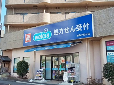 【周辺】 | トップ平和台 | ウエルシア練馬平和台店まで470ｍ