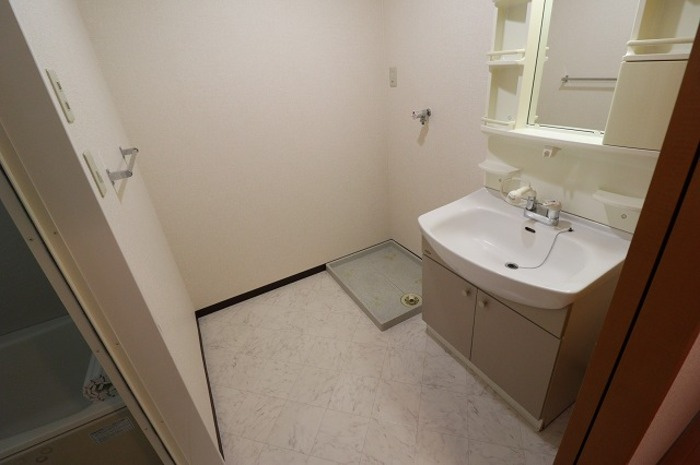 ヴェルドミール カシマの洗面所