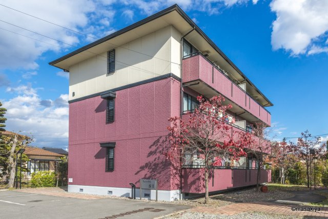 フェニックス・SIの外観