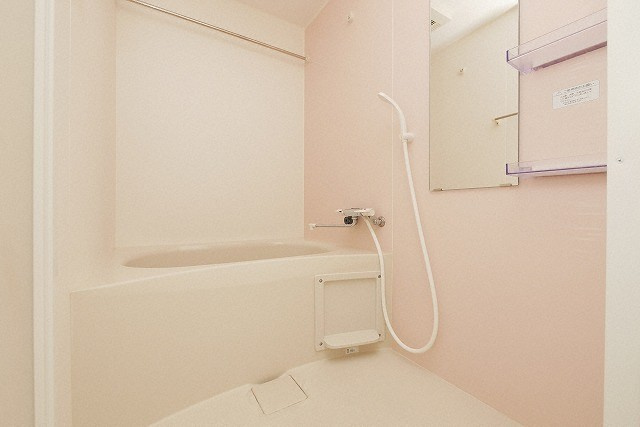 大阪市浪速区恵美須西１丁目の賃貸マンションの浴室