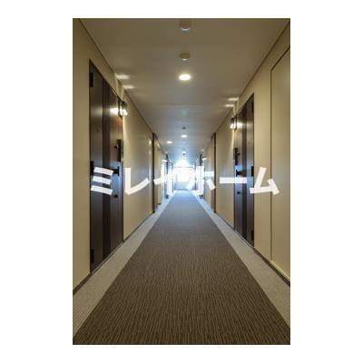 Ｍｉａ Ｃａｓａ Ⅱのその他共用部分