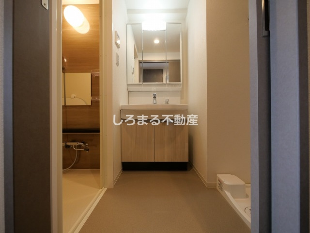 プレサンス東小橋エレディータの洗面所