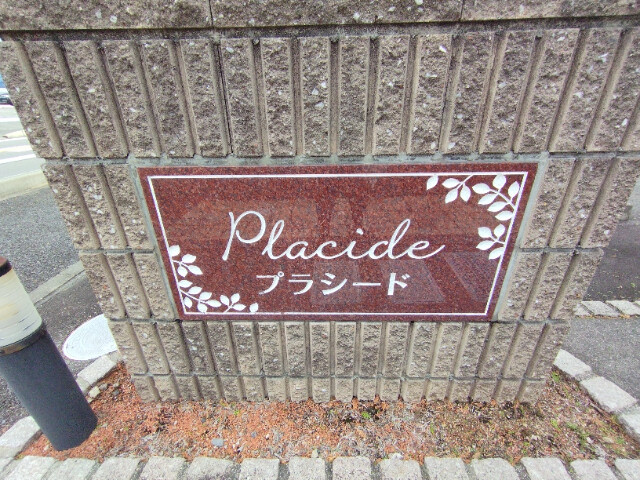 プラシードのその他