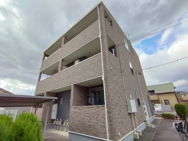 プラシードの外観